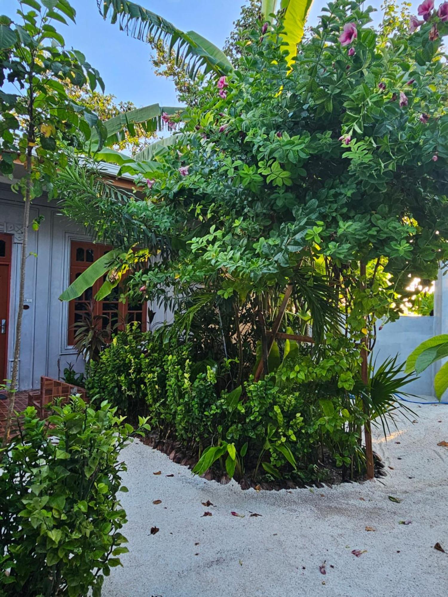 Sunset Beach View Dhangethi Luaran gambar