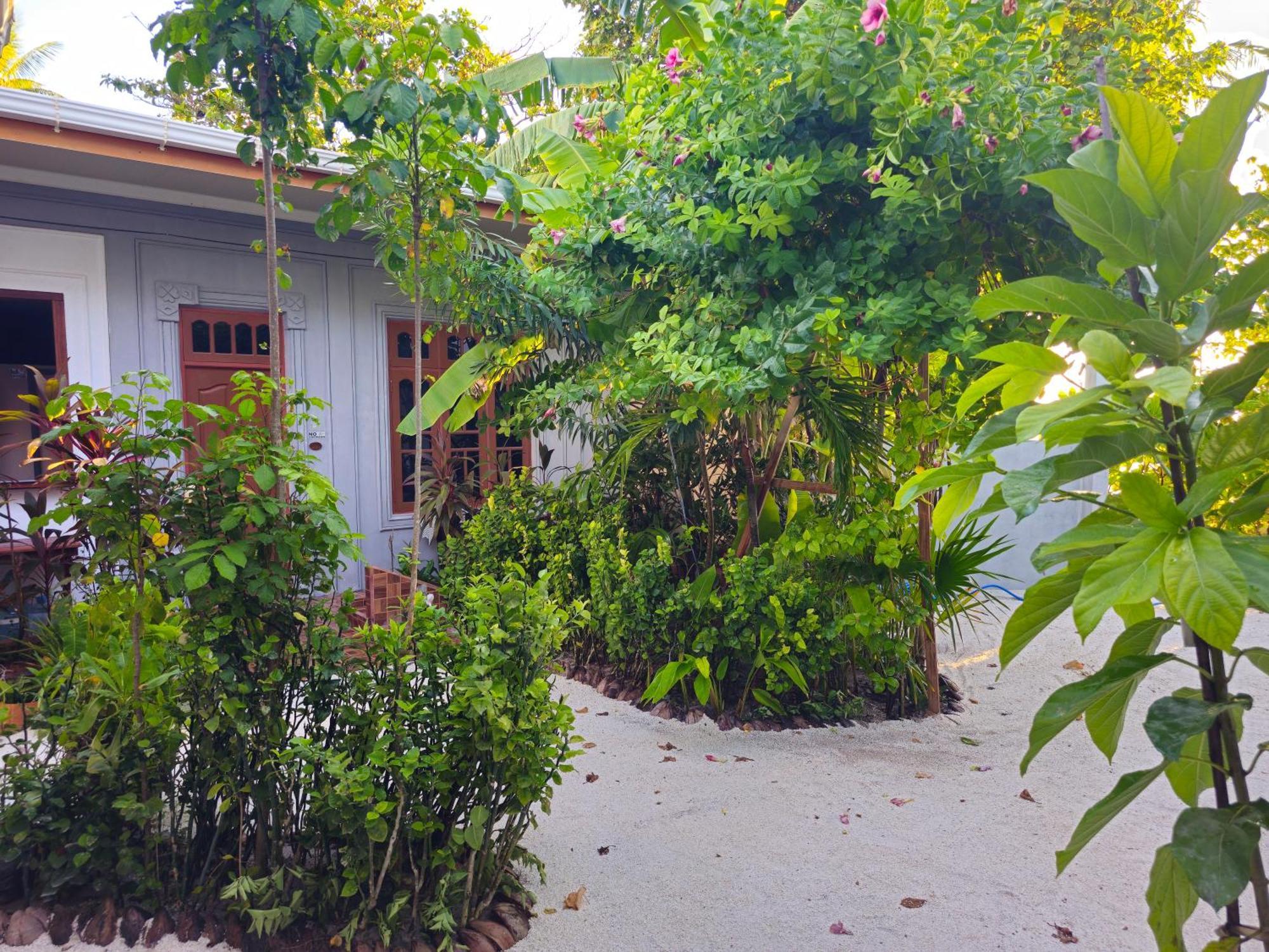 Sunset Beach View Dhangethi Luaran gambar